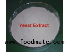 Food grade Yeast Extract for seasoning