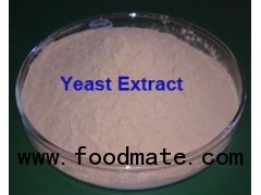 Baker's Yeast Extract for food flavor enhancer