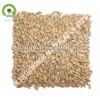 barley malt