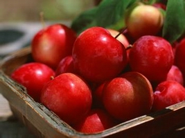 organic apples