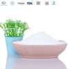 Stevia Powder