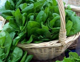 Leafy vegetables