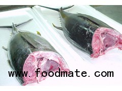 YELLOWFIN TUNA