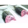 YELLOWFIN TUNA