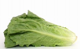 lettuce 