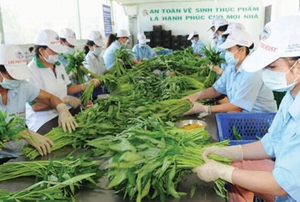 Vietnam fruit, vegetable