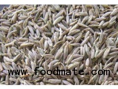 Cumin Seeds