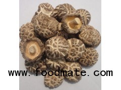 dehydrated shiitake mushroom