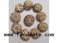 dehydrated white flower shiitake mushroom