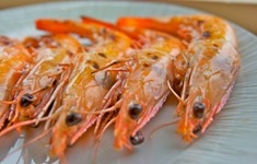 prawn