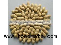 China New Crop Raw Peanut in shell