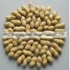 China New Crop Raw Peanut in shell