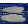 pangasius fillet/basa/swai/dory