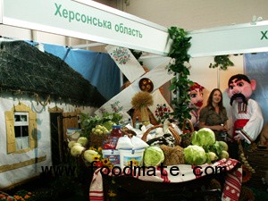 kherson region