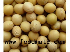 Soybean Isoflavones