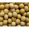 Soybean Isoflavones