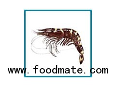Raw Black Tiger Shrimp (Shellon)
