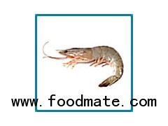 Raw Vannamei White Shrimp (Shellon)