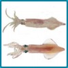 Squid (Loligo Duvaucelii) /Semi needle Squid ( Doryteuthiis Sibogae)