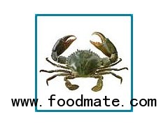 Green Mud Crab