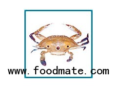 Sea Crab