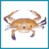 Sea Crab