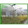 poly film greenhouse for agriculture in China
