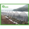 Commercial Greenhouse for agriculture