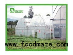 Multi span polycarbonate greenhouse