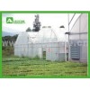 Multi span polycarbonate greenhouse