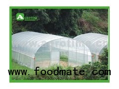 Plastic Greenhouse  for Agriculture