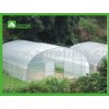 Plastic Greenhouse  for Agriculture