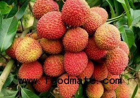 lychee