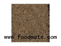 Cumin Seeds