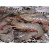 White and pink shrimps