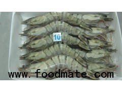 Baby octopus, baby cuttlefish, Black Tiger and vannamei shrimp, whole clam