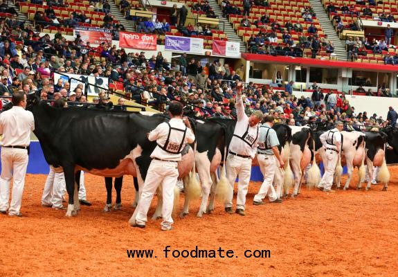 World Dairy Expo Race