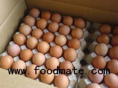 Chicken Eggs