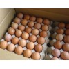 Chicken Eggs