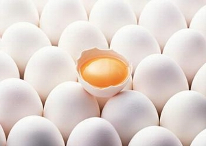 egg