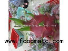 Fresh Dragon Fruit