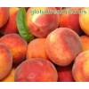 peaches GLobal Fresh