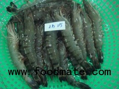 Black tiger shrimps HOSO