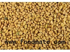 Fenugreek Seed