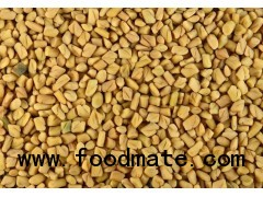 Fenugreek Seed