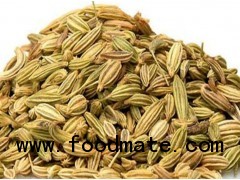 Fennel Seed