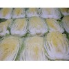 Chinese cabbage