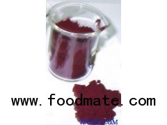 100% natural beet root juice powder