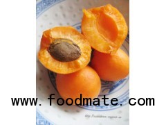 100% natural Apricot juice powder