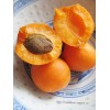  natural Apricot juice powder